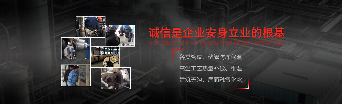 英国上市公司365