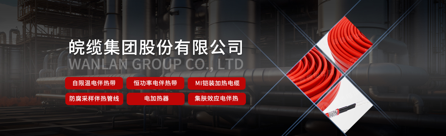 英国上市公司365电伴热带