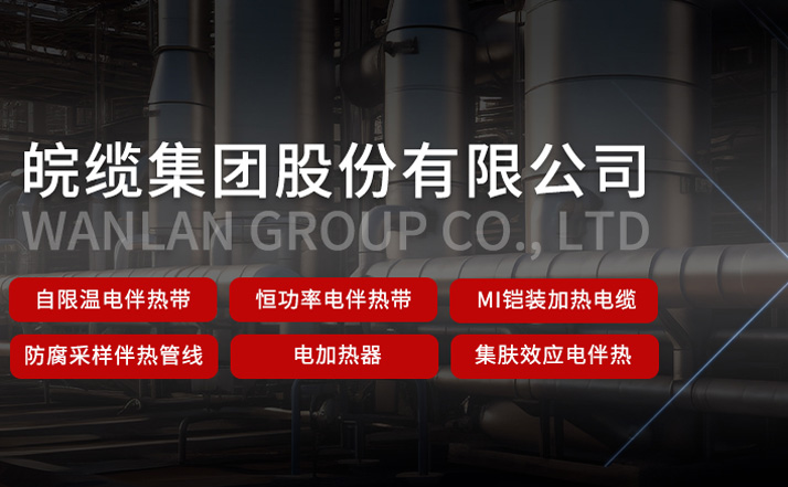 英国上市公司365电伴热带