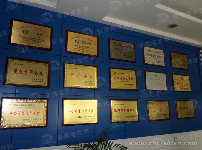 英国上市公司365荣誉墙