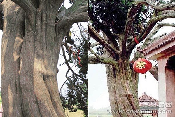 &ldquo;孝子坟&rdquo;