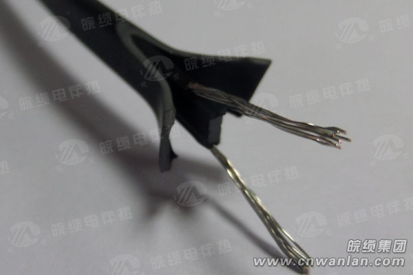 DBW-220V-J/P/PF自限温电伴热带结构