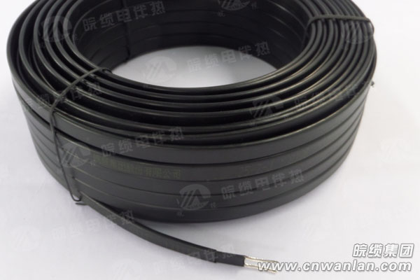 基本型DBW-220V自限温电伴热带