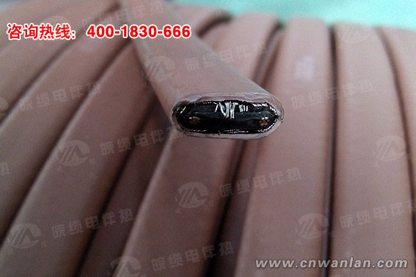 阻燃型DZT-P自限温电伴热带